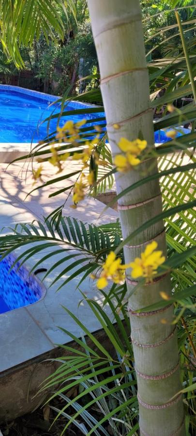 San José de Chiquitos Rustico & Hotel Boutique Las Churapas מראה חיצוני תמונה