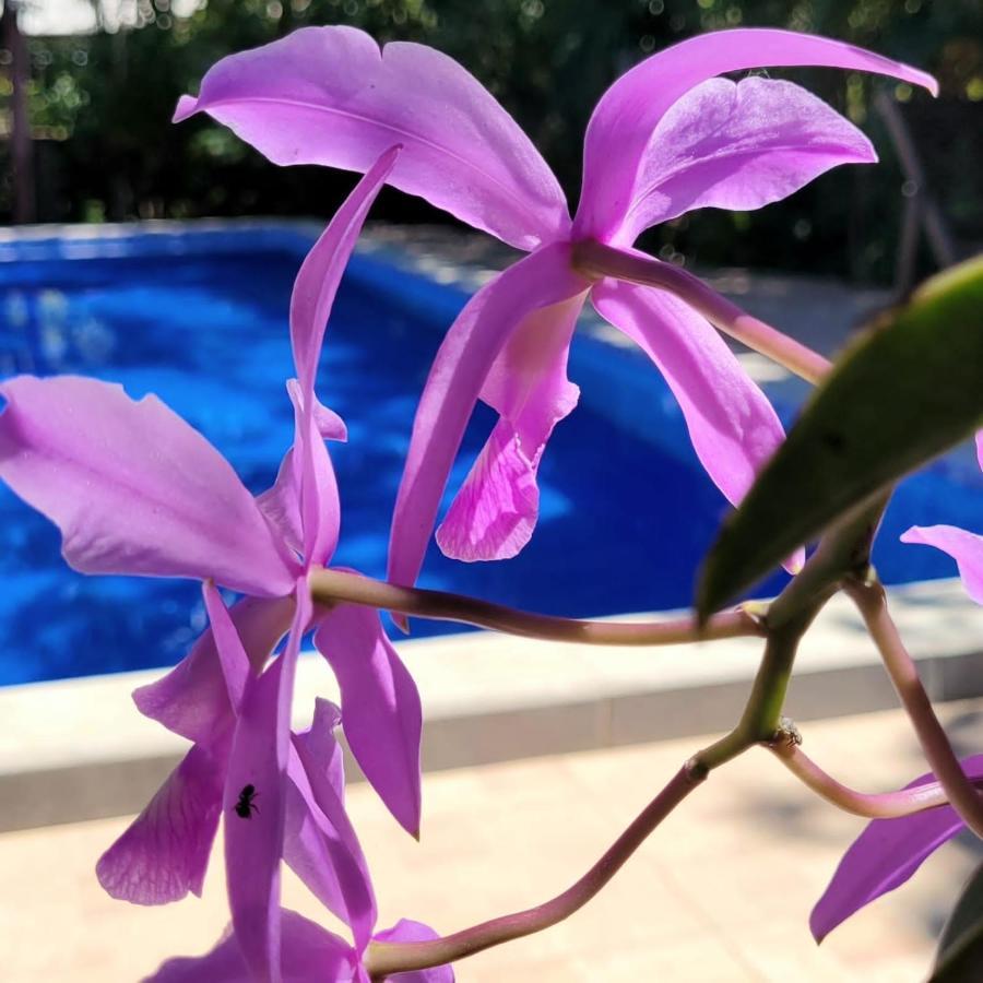 San José de Chiquitos Rustico & Hotel Boutique Las Churapas מראה חיצוני תמונה